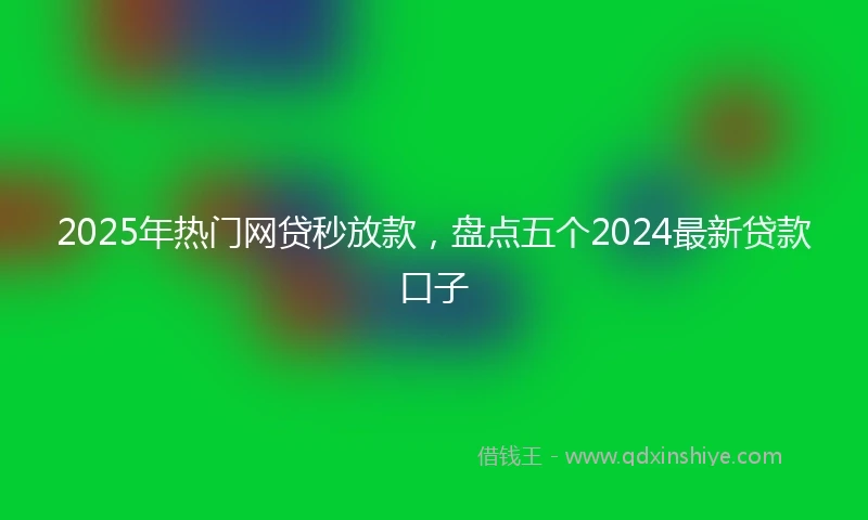 2025年热门网贷秒放款，盘点五个2024最新贷款口子