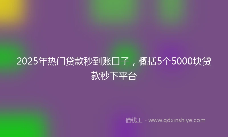 2025年热门贷款秒到账口子，概括5个5000块贷款秒下平台