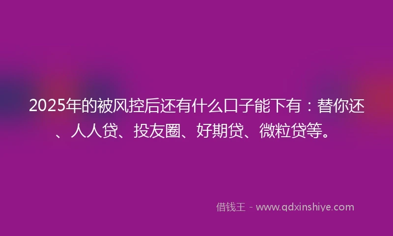 2025年的被风控后还有什么口子能下有：替你还、人人贷、投友圈、好期贷、微粒贷等。