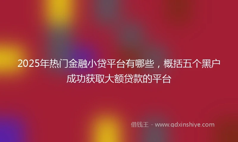 2025年热门金融小贷平台有哪些，概括五个黑户成功获取大额贷款的平台