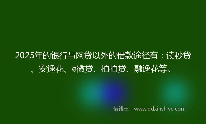 2025年的银行与网贷以外的借款途径有：读秒贷、安逸花、e微贷、拍拍贷、融逸花等。