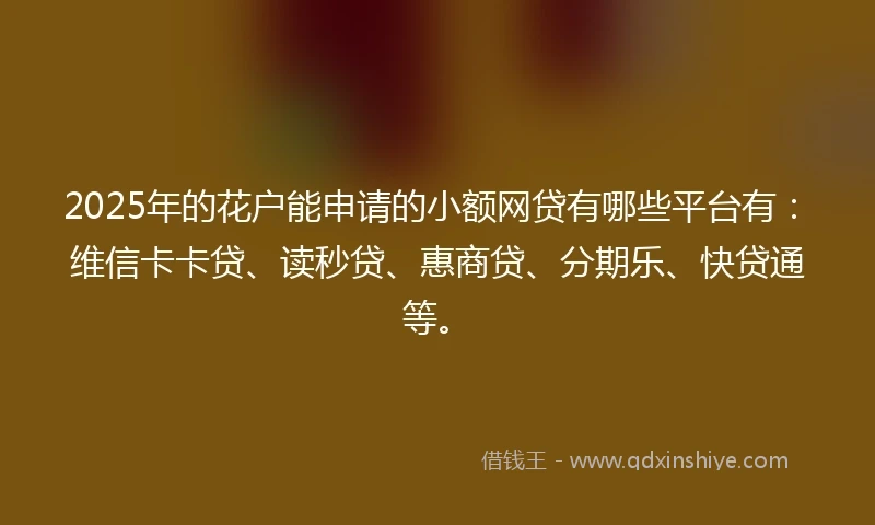2025年的花户能申请的小额网贷有哪些平台有：维信卡卡贷、读秒贷、惠商贷、分期乐、快贷通等。