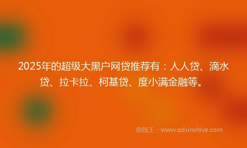 2025年的超级大黑户网贷推荐有：人人贷、滴水贷、拉卡拉、柯基贷、度小满金融等。