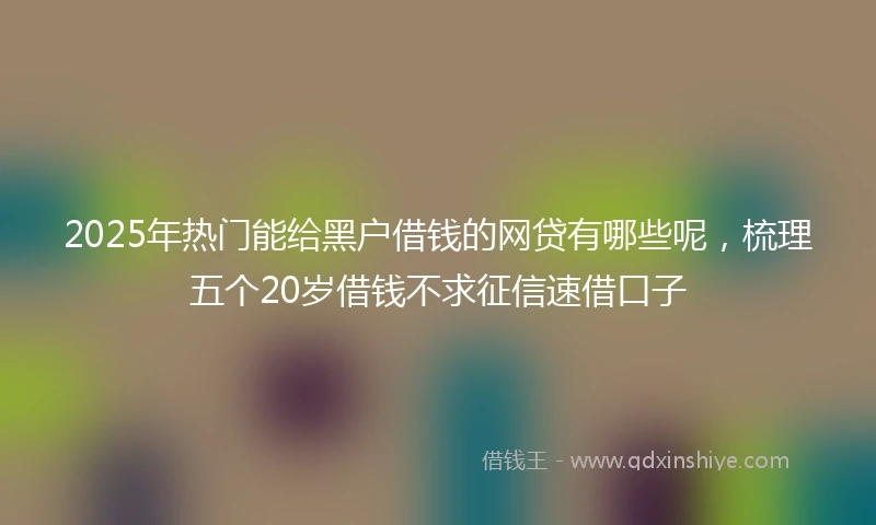2025年热门能给黑户借钱的网贷有哪些呢，梳理五个20岁借钱不求征信速借口子
