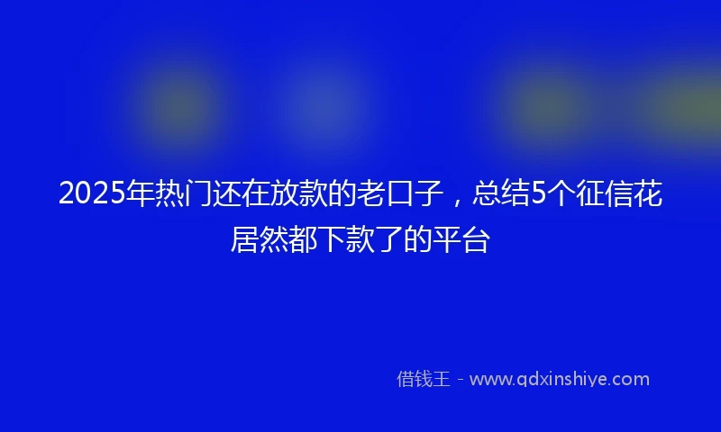 2025年热门还在放款的老口子，总结5个征信花居然都下款了的平台