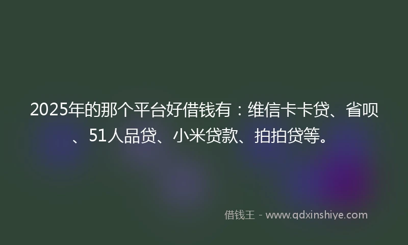 2025年的那个平台好借钱有：维信卡卡贷、省呗、51人品贷、小米贷款、拍拍贷等。