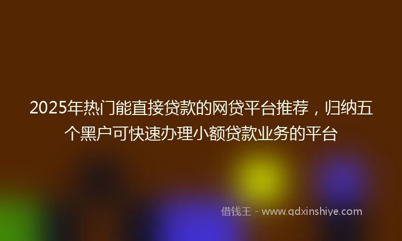 2025年热门能直接贷款的网贷平台推荐，归纳五个黑户可快速办理小额贷款业务的平台