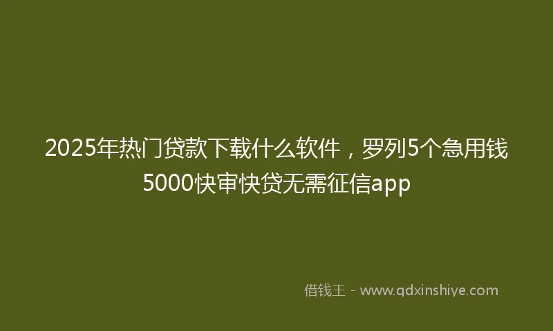 2025年热门贷款下载什么软件，罗列5个急用钱5000快审快贷无需征信app