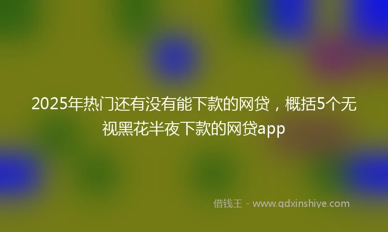 2025年热门还有没有能下款的网贷，概括5个无视黑花半夜下款的网贷app