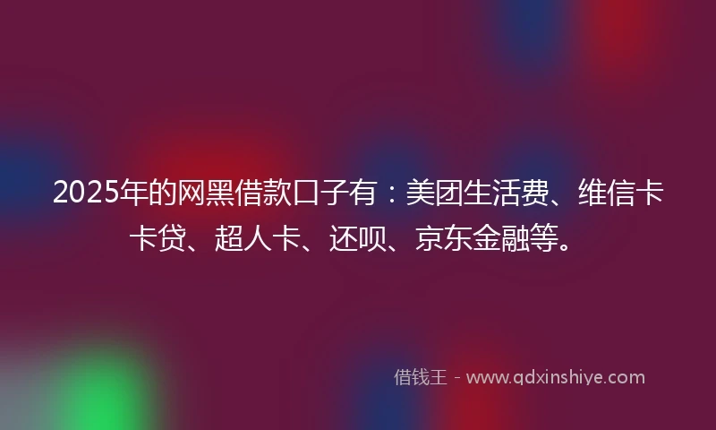 2025年的网黑借款口子有：美团生活费、维信卡卡贷、超人卡、还呗、京东金融等。