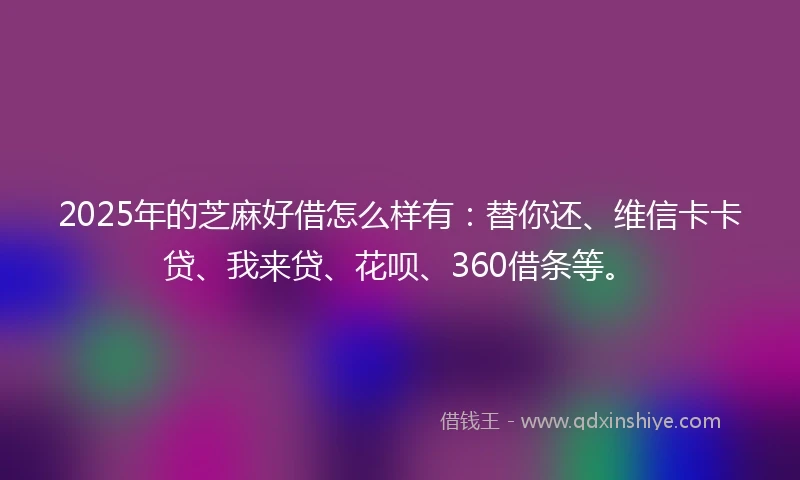 2025年的芝麻好借怎么样有：替你还、维信卡卡贷、我来贷、花呗、360借条等。