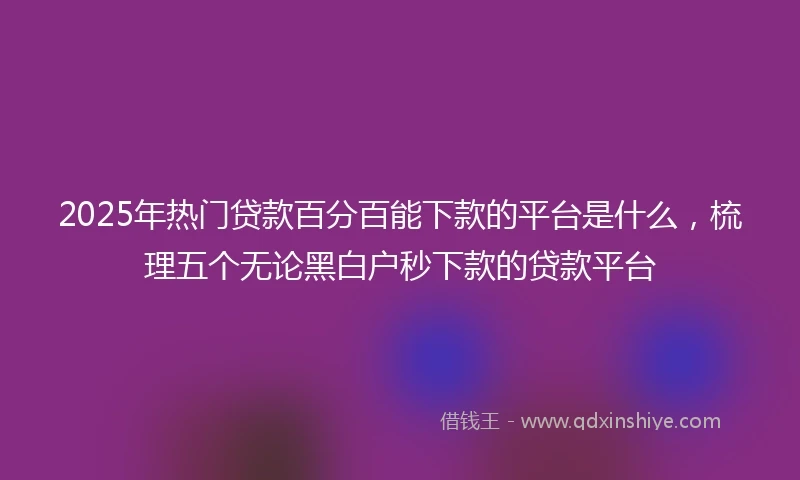 2025年热门贷款百分百能下款的平台是什么，梳理五个无论黑白户秒下款的贷款平台
