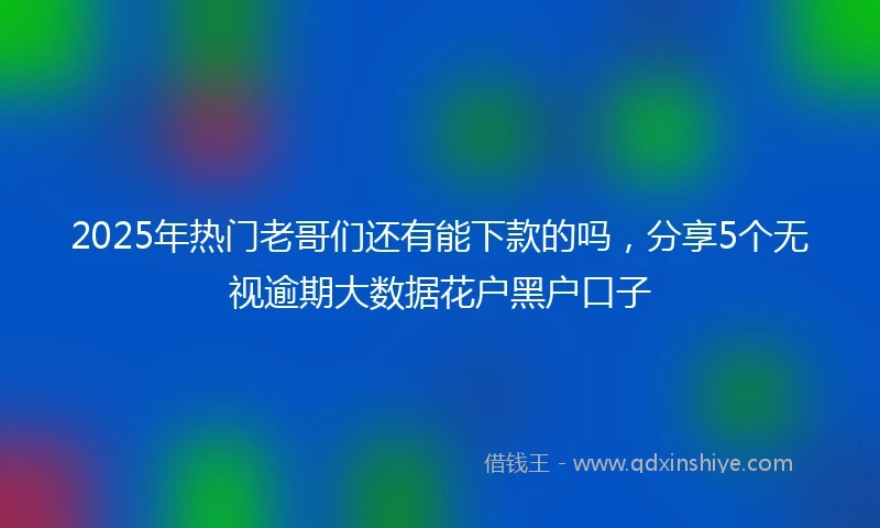 2025年热门老哥们还有能下款的吗，分享5个无视逾期大数据花户黑户口子