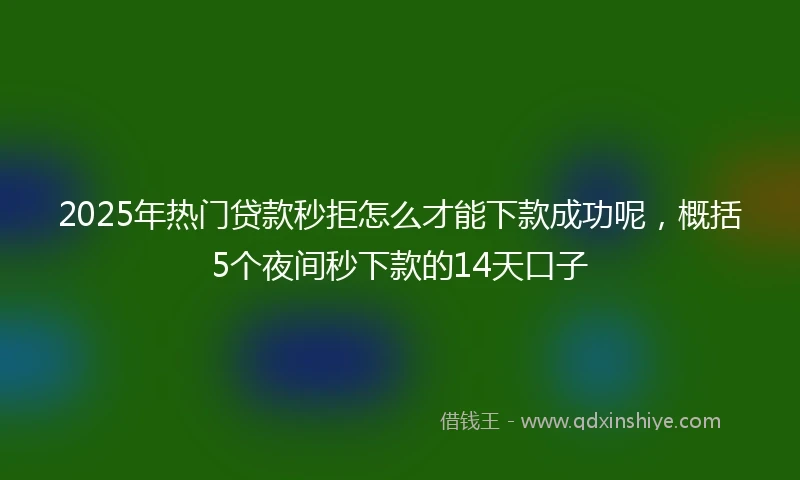2025年热门贷款秒拒怎么才能下款成功呢，概括5个夜间秒下款的14天口子