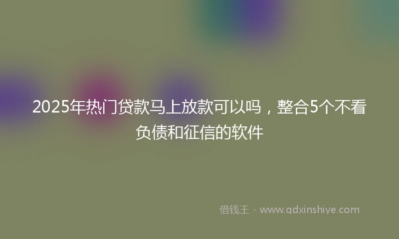 2025年热门贷款马上放款可以吗，整合5个不看负债和征信的软件
