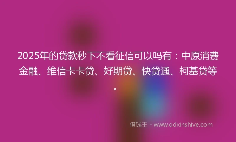 2025年的贷款秒下不看征信可以吗有：中原消费金融、维信卡卡贷、好期贷、快贷通、柯基贷等。