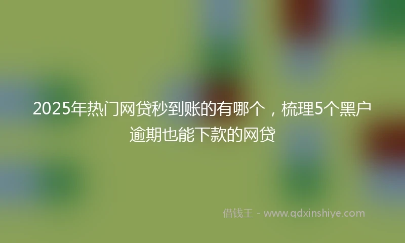 2025年热门网贷秒到账的有哪个，梳理5个黑户逾期也能下款的网贷