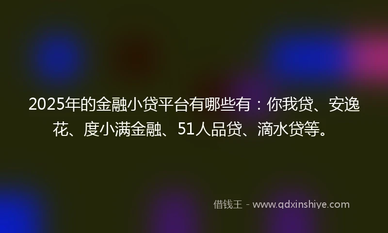 2025年的金融小贷平台有哪些有：你我贷、安逸花、度小满金融、51人品贷、滴水贷等。