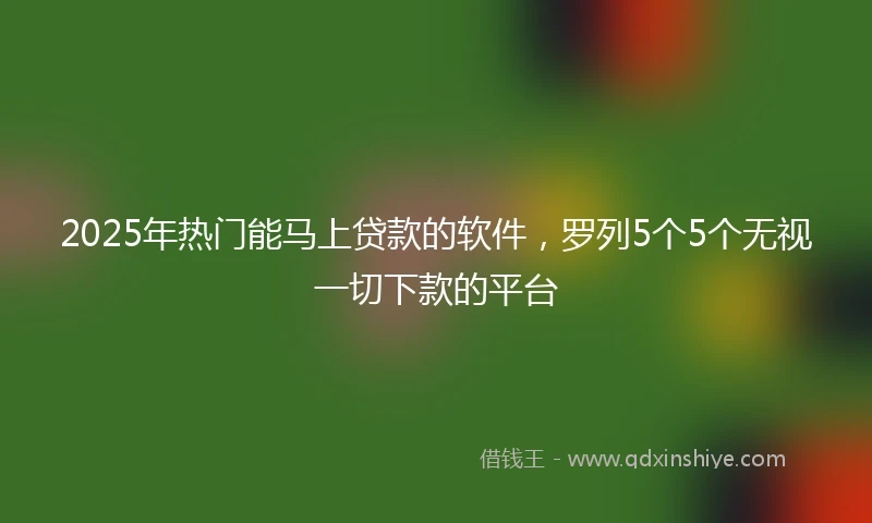 2025年热门能马上贷款的软件，罗列5个5个无视一切下款的平台