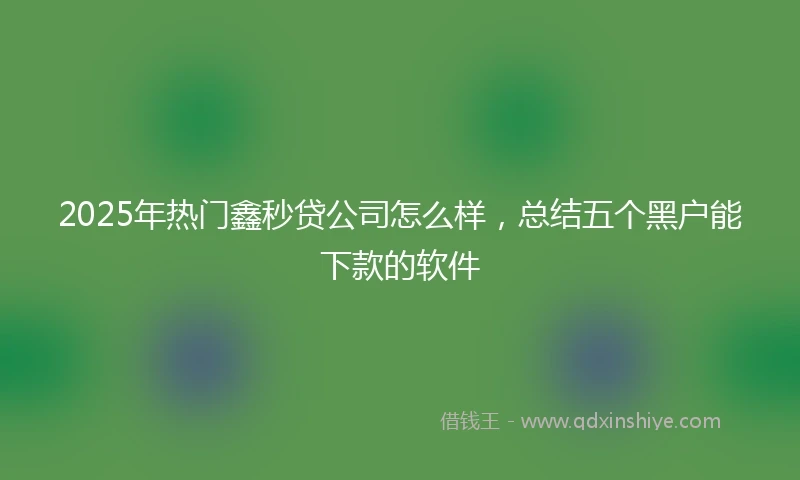 2025年热门鑫秒贷公司怎么样，总结五个黑户能下款的软件