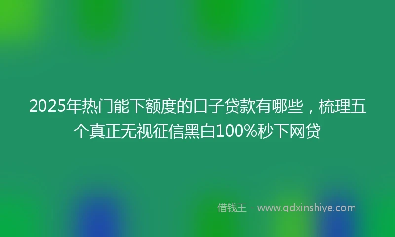 2025年热门能下额度的口子贷款有哪些，梳理五个真正无视征信黑白100%秒下网贷