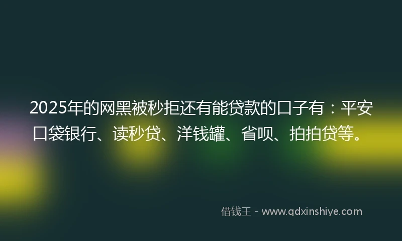 2025年的网黑被秒拒还有能贷款的口子有：平安口袋银行、读秒贷、洋钱罐、省呗、拍拍贷等。