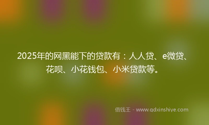 2025年的网黑能下的贷款有：人人贷、e微贷、花呗、小花钱包、小米贷款等。