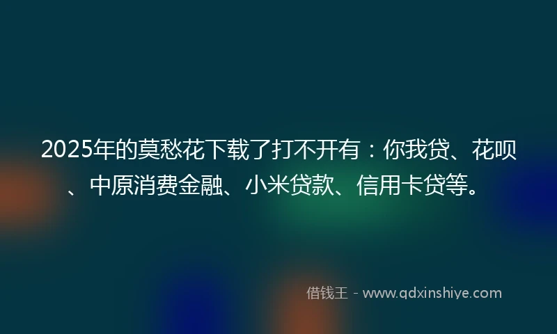 2025年的莫愁花下载了打不开有：你我贷、花呗、中原消费金融、小米贷款、信用卡贷等。