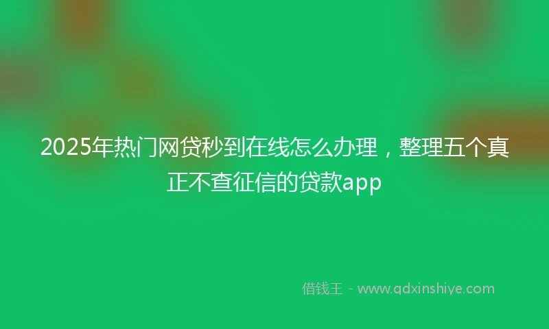 2025年热门网贷秒到在线怎么办理，整理五个真正不查征信的贷款app