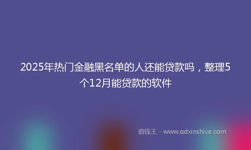 2025年热门金融黑名单的人还能贷款吗，整理5个12月能贷款的软件