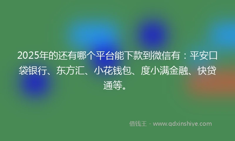 2025年的还有哪个平台能下款到微信有：平安口袋银行、东方汇、小花钱包、度小满金融、快贷通等。