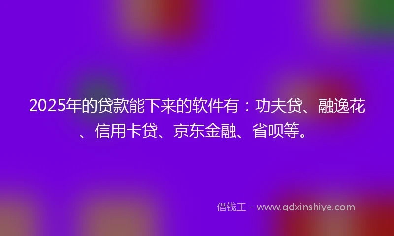 2025年的贷款能下来的软件有：功夫贷、融逸花、信用卡贷、京东金融、省呗等。