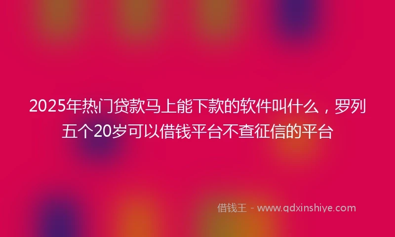 2025年热门贷款马上能下款的软件叫什么，罗列五个20岁可以借钱平台不查征信的平台