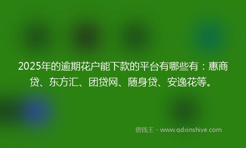 2025年的逾期花户能下款的平台有哪些有：惠商贷、东方汇、团贷网、随身贷、安逸花等。