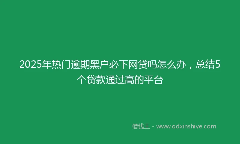 2025年热门逾期黑户必下网贷吗怎么办，总结5个贷款通过高的平台