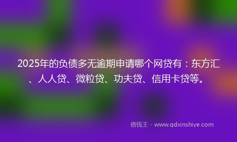 2025年的负债多无逾期申请哪个网贷有：东方汇、人人贷、微粒贷、功夫贷、信用卡贷等。