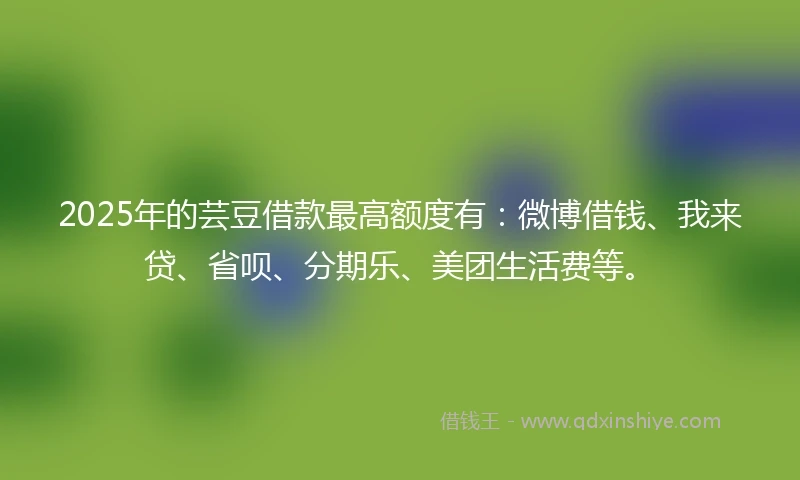 2025年的芸豆借款最高额度有：微博借钱、我来贷、省呗、分期乐、美团生活费等。