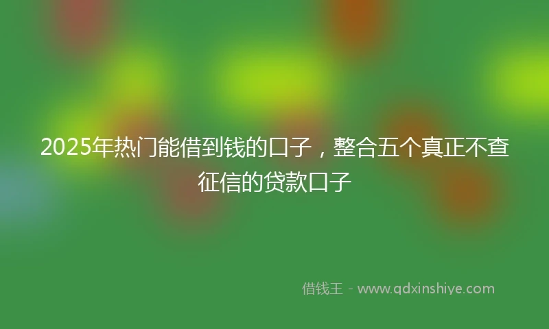 2025年热门能借到钱的口子，整合五个真正不查征信的贷款口子
