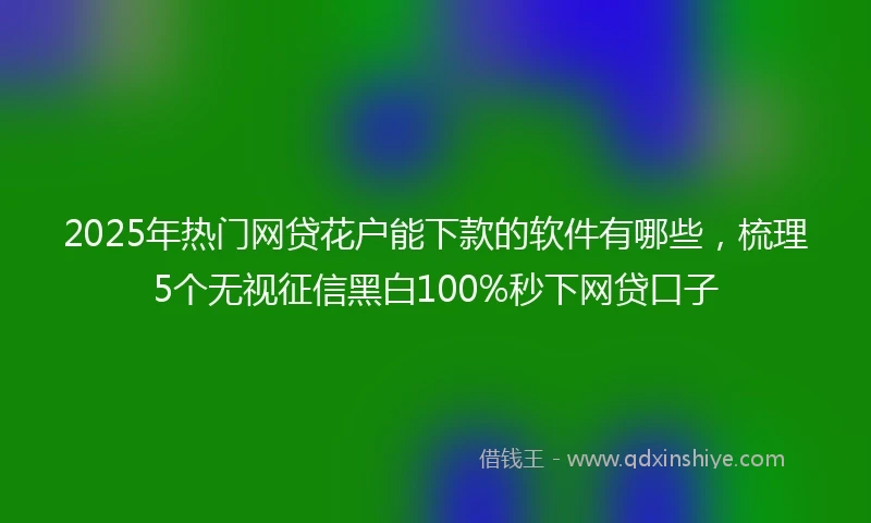 2025年热门网贷花户能下款的软件有哪些，梳理5个无视征信黑白100%秒下网贷口子