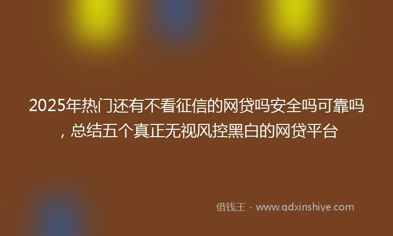 2025年热门还有不看征信的网贷吗安全吗可靠吗，总结五个真正无视风控黑白的网贷平台