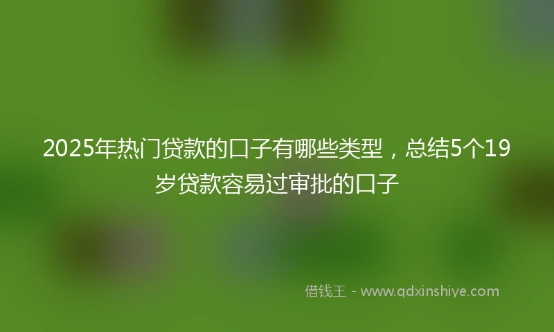 2025年热门贷款的口子有哪些类型，总结5个19岁贷款容易过审批的口子
