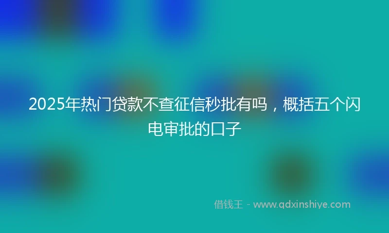 2025年热门贷款不查征信秒批有吗，概括五个闪电审批的口子