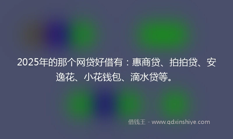 2025年的那个网贷好借有：惠商贷、拍拍贷、安逸花、小花钱包、滴水贷等。