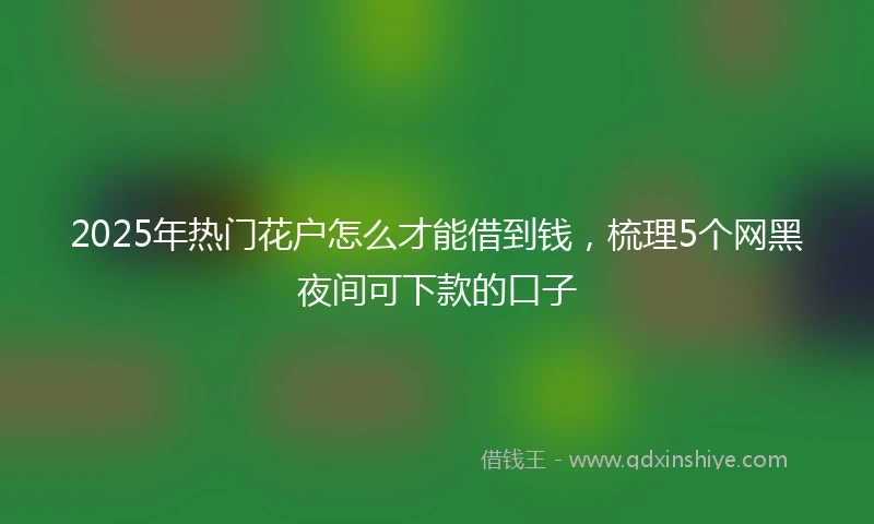 2025年热门花户怎么才能借到钱，梳理5个网黑夜间可下款的口子