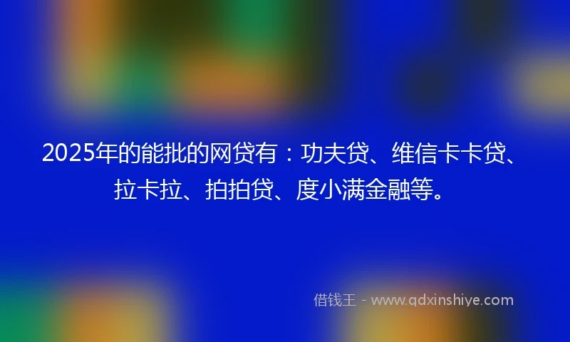 2025年的能批的网贷有：功夫贷、维信卡卡贷、拉卡拉、拍拍贷、度小满金融等。