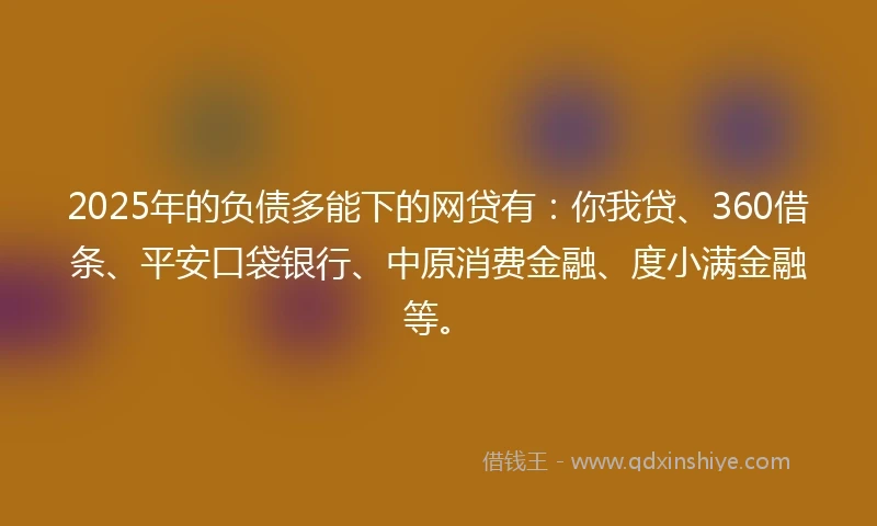 2025年的负债多能下的网贷有：你我贷、360借条、平安口袋银行、中原消费金融、度小满金融等。