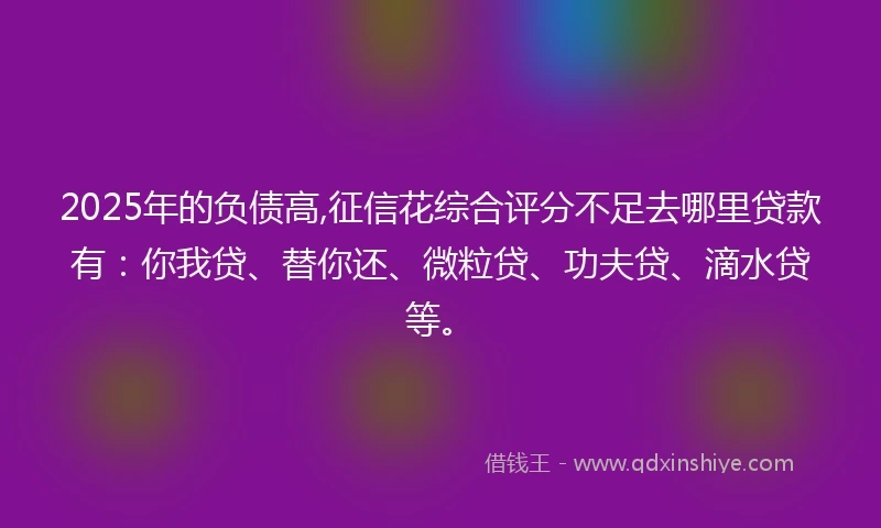 2025年的负债高,征信花综合评分不足去哪里贷款有：你我贷、替你还、微粒贷、功夫贷、滴水贷等。
