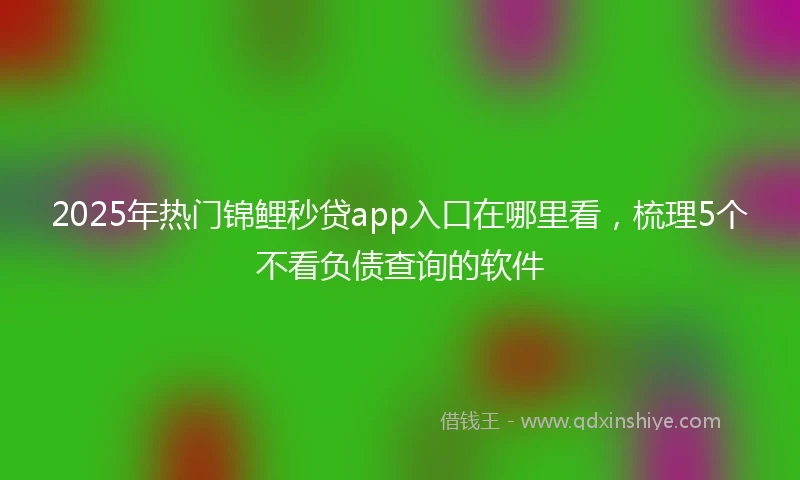 2025年热门锦鲤秒贷app入口在哪里看，梳理5个不看负债查询的软件