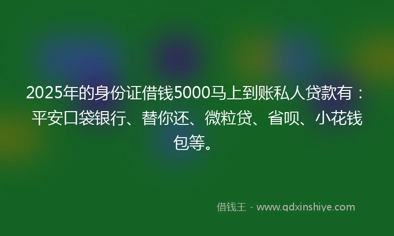 2025年的身份证借钱5000马上到账私人贷款有：平安口袋银行、替你还、微粒贷、省呗、小花钱包等。