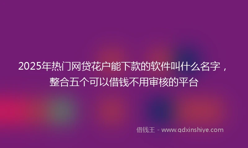 2025年热门网贷花户能下款的软件叫什么名字，整合五个可以借钱不用审核的平台